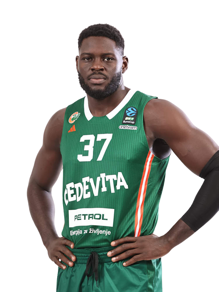 Derek Ogbeide
